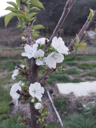 장준호님의 자유주제 · 자유게시판 작성글 사진