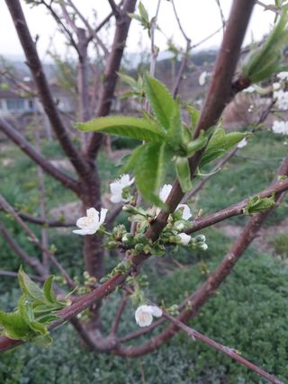 장준호님의 자유주제 · 자유게시판 작성글 사진