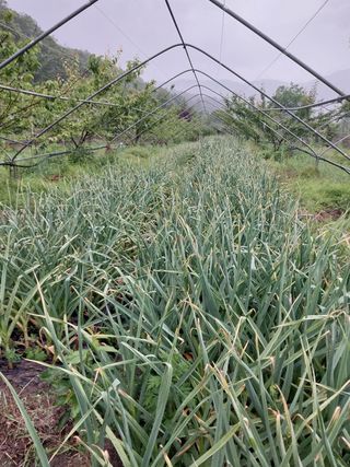 장준호님의 자유주제 · 자유게시판 작성글 사진