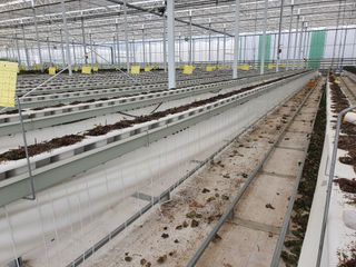 자이민님의 우리동네 · 무료나눔 작성글 사진