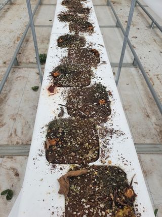 자이민님의 우리동네 · 무료나눔 작성글 사진