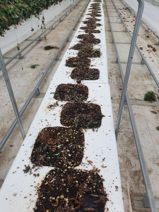 자이민님의 우리동네 · 무료나눔 작성글 사진