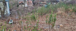 산딸기 쌍둥맘 영신님의 자유주제 · 자유게시판 작성글 사진