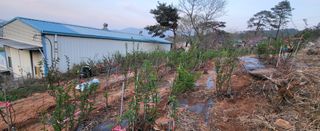 산딸기 쌍둥맘 영신님의 자유주제 · 자유게시판 작성글 사진