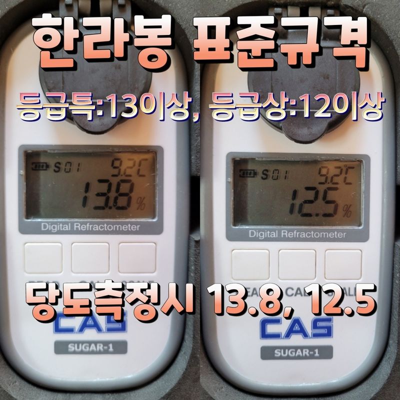 김경철님의 장터 판매 상품 [서귀포 노지한라봉 5Kg, 10Kg 무료배송] 첨부 사진