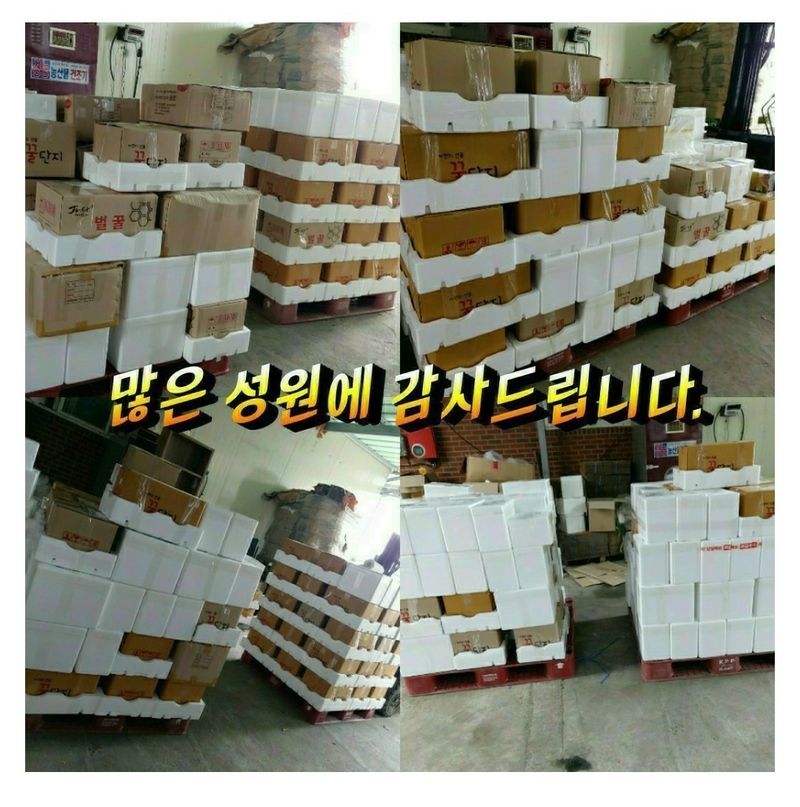 벌꿀농장♡권은주님의 장터 판매 상품 [2023년 햇벌화분/아카시아.밤꿀.잡화꿀] 첨부 사진