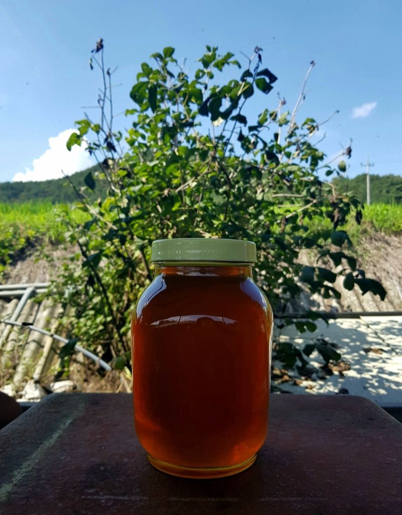 벌꿀농장♡권은주님의 장터 판매 상품 [2023년 햇벌화분/아카시아.밤꿀.잡화꿀] 첨부 사진