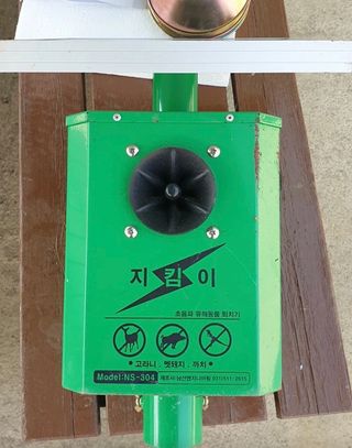 알 수 없음님의 장터이야기 · 자유게시판 작성글 사진