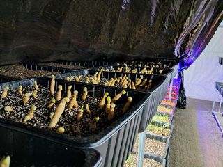 박홍수 님의 기타작물 · 자유게시판 작성글 사진