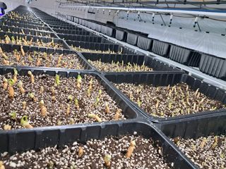 박홍수 님의 기타작물 · 자유게시판 작성글 사진