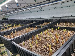 박홍수 님의 기타작물 · 자유게시판 작성글 사진