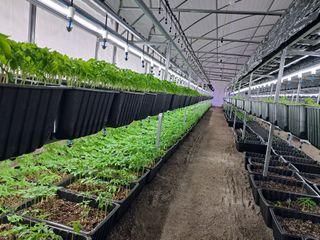 박홍수 님의 기타작물 · 자유게시판 작성글 사진