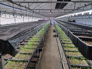 박홍수 님의 기타작물 · 자유게시판 작성글 사진