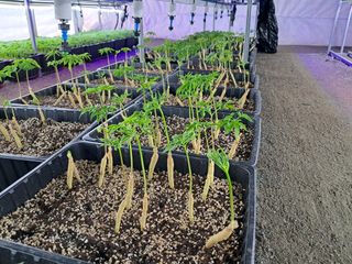 박홍수 님의 기타작물 · 자유게시판 작성글 사진