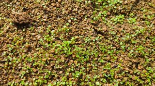 조병대님의 기타작물 · 자유게시판 작성글 사진