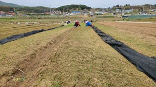 조병대님의 기타작물 · 자유게시판 작성글 사진
