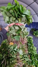 팜모닝 · 게시글 이미지