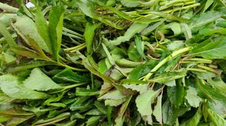 조병대님의 작성글 사진