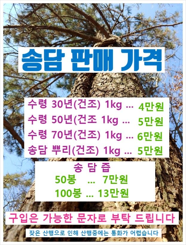 공정수님의 장터 판매 상품 [당뇨에 좋은 약초 송담 판매 합니다] 첨부 사진