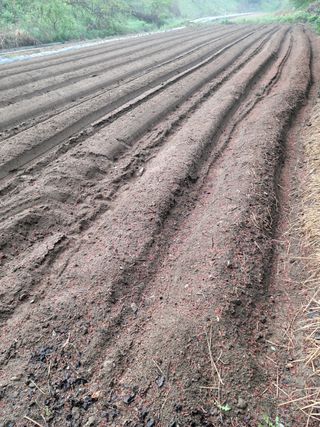 김태연님의 기타작물 · 자유게시판 작성글 사진