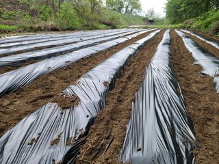 김태연님의 기타작물 · 자유게시판 작성글 사진