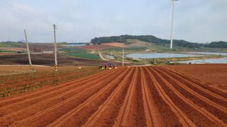 무안선유농원님의 고구마 · 자유게시판 작성글 사진
