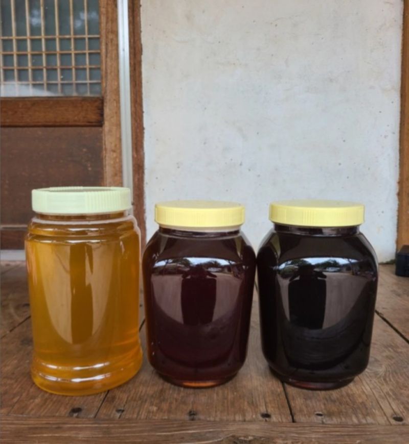 장터 상품 [밤꿀 잡화꿀 팔아요~ 2.4키로 ] 썸네일