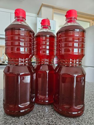 대봉매실 인생이막님의 작성글 사진