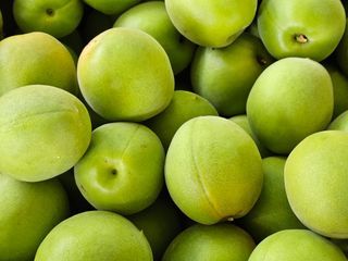 대봉매실 인생이막님의 작성글 사진