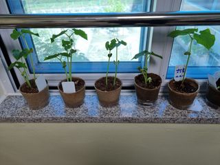 그린1505님의 콩 · 자유게시판 작성글 사진