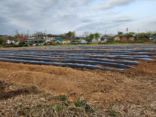 박혜옥님의 자유주제 · 자유게시판 작성글 사진