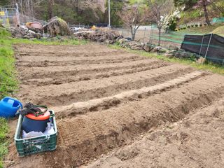 먹거리 아줌님의 자유주제 · 자유게시판 작성글 사진