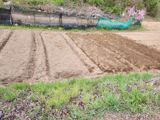 먹거리 아줌님의 자유주제 · 자유게시판 작성글 사진