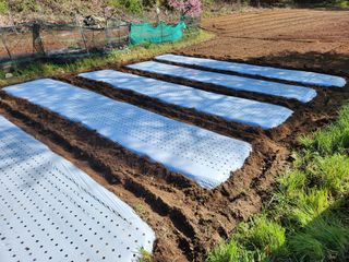 먹거리 아줌님의 자유주제 · 자유게시판 작성글 사진