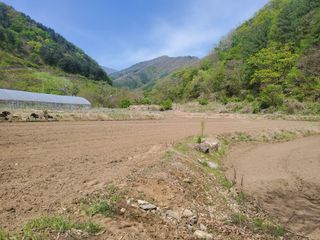 오형섭 님의 자유주제 · 자유게시판 작성글 사진