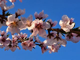권 명주 님의 우리동네 · 동네자랑 작성글 사진