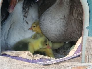 님프의 숲님의 작성글 사진