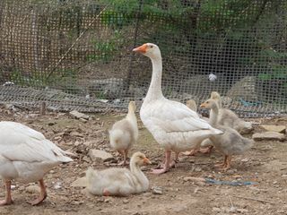 님프의 숲님의 작성글 사진