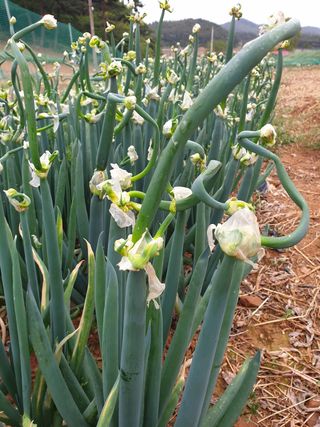 해당화님의 자유주제 · 자유게시판 작성글 사진