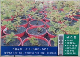 지금은 공돌이님의 작성글 사진