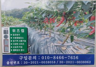 지금은 공돌이님의 작성글 사진