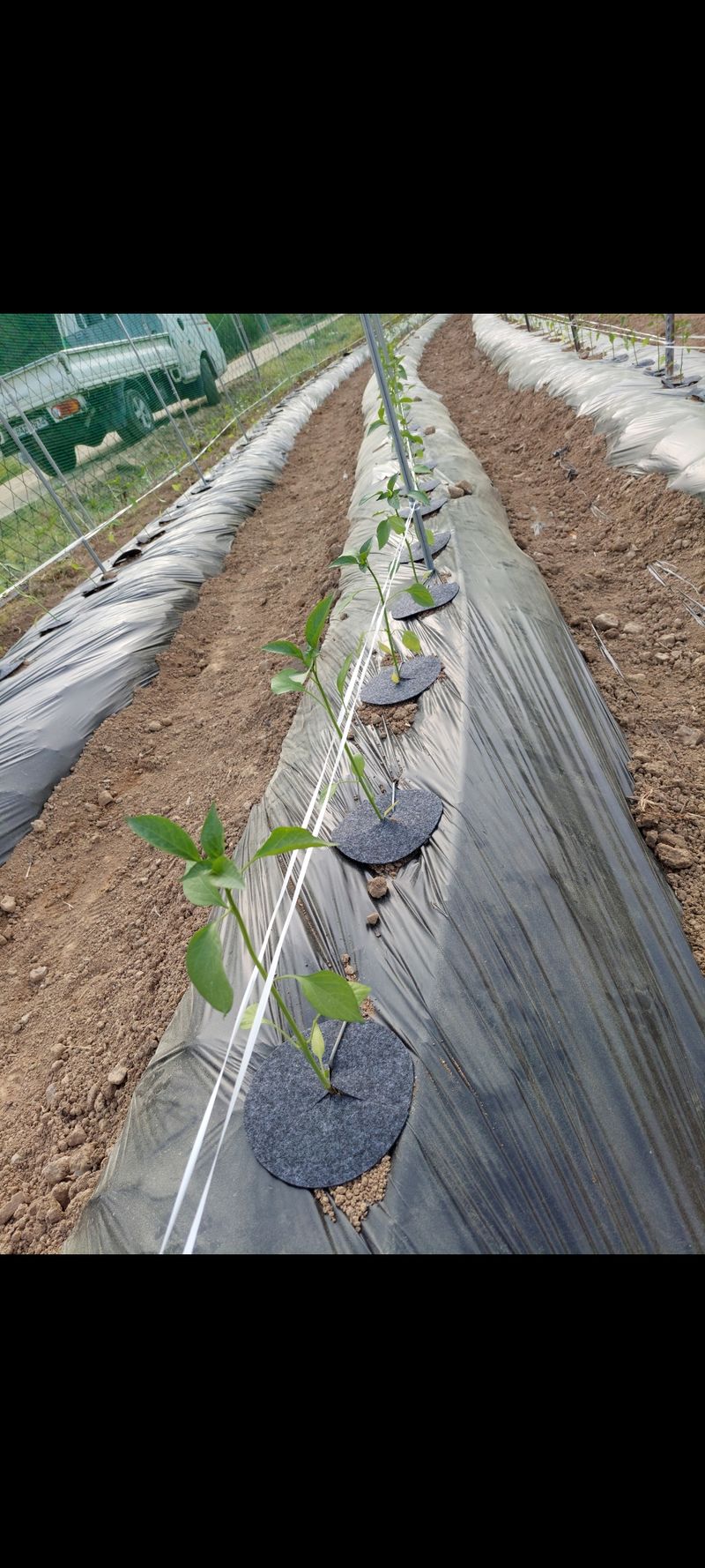 지금은  공돌이님의 장터 판매 상품 [잡초매트] 첨부 사진