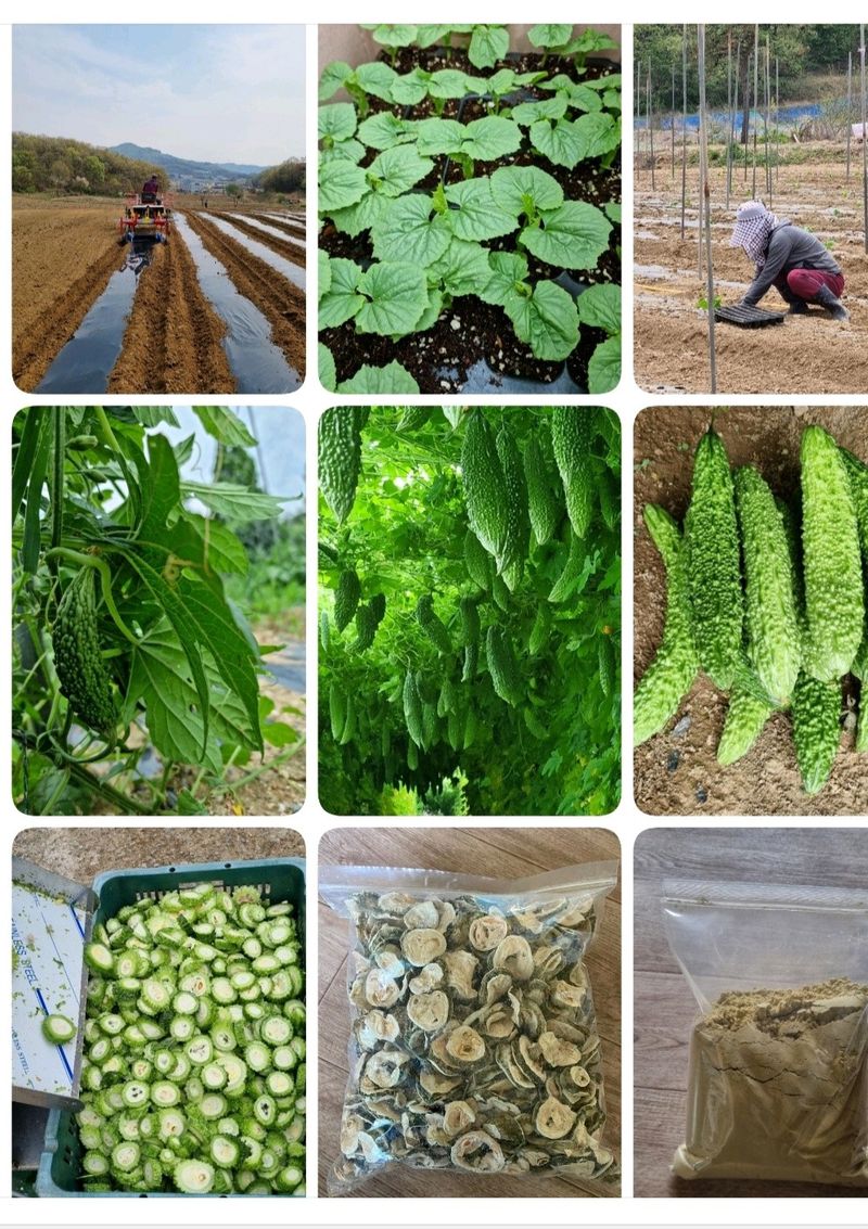 장터 상품 [여주] 썸네일