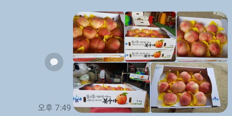 장터 상품 [차돌이 복숭아4.5kg] 썸네일