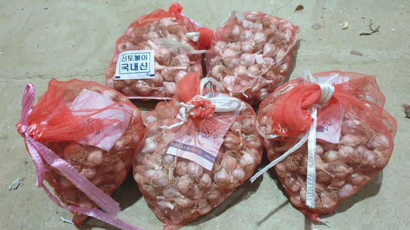 장터 상품 [[품절]유황육쪽마늘 꿀마늘 2접] 썸네일