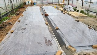 김향미님의 참깨 · 자유게시판 작성글 사진