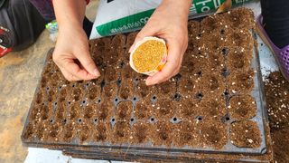 김향미님의 참깨 · 자유게시판 작성글 사진