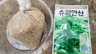 김향미님의 참깨 · 자유게시판 작성글 사진