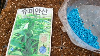 김향미님의 참깨 · 자유게시판 작성글 사진