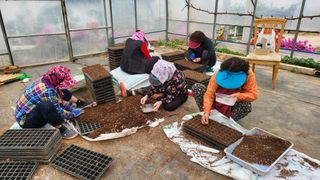 김향미님의 참깨 · 자유게시판 작성글 사진